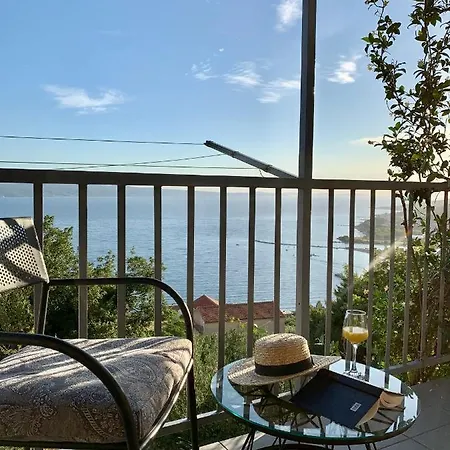 La Palma Omis